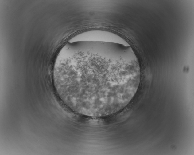 X0000111150415200907211208