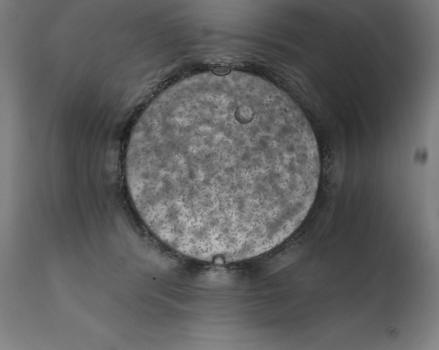 X0000111150416200907211208