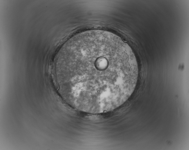 X0000111150417200907211208