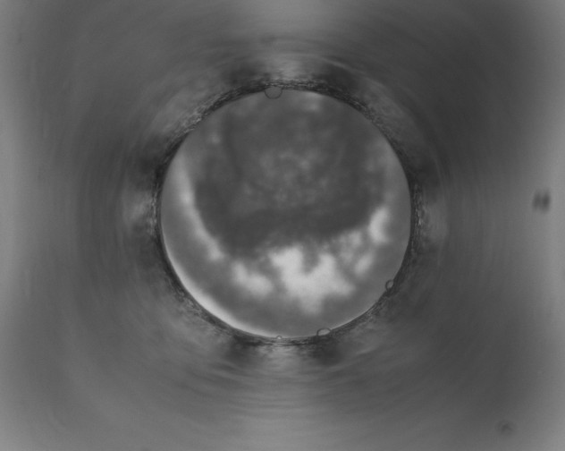 X0000111150419200907211208