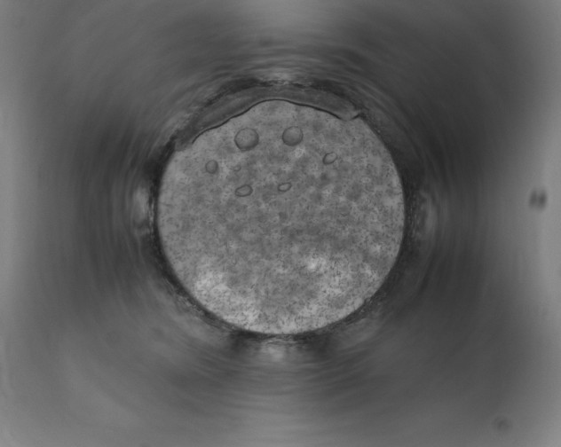 X0000111150420200907211208