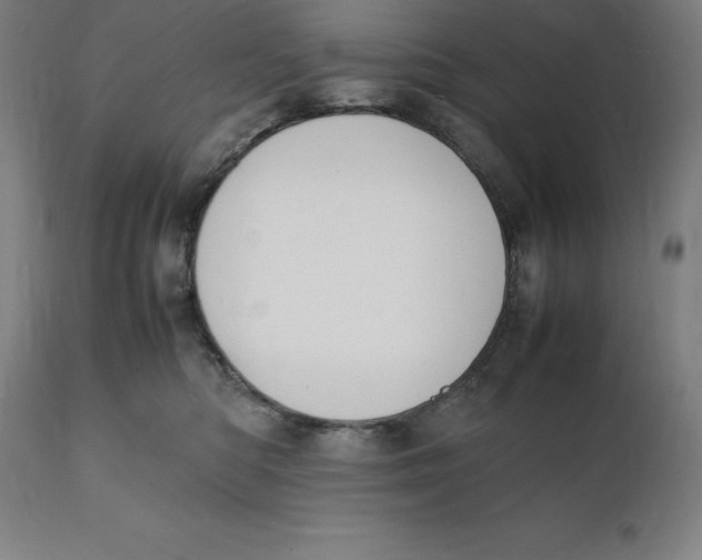 X0000111150422200907211208