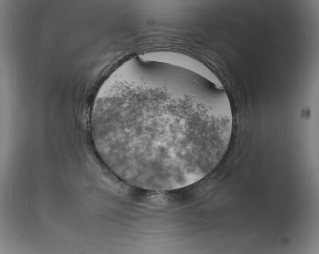 X0000111150423200907211207