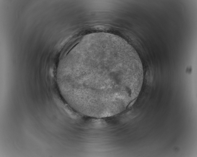 X0000111150424200907211207