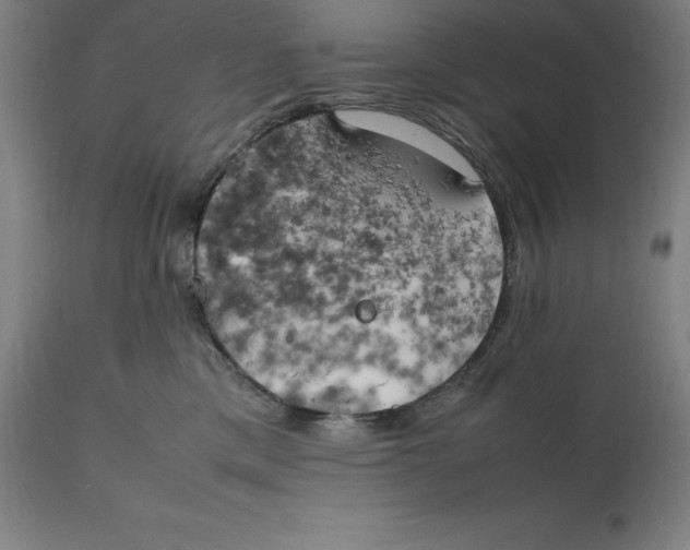 X0000111150425200907211207