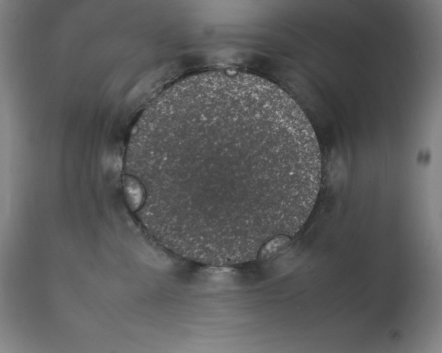 X0000111150427200907211207