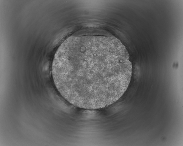 X0000111150428200907211207