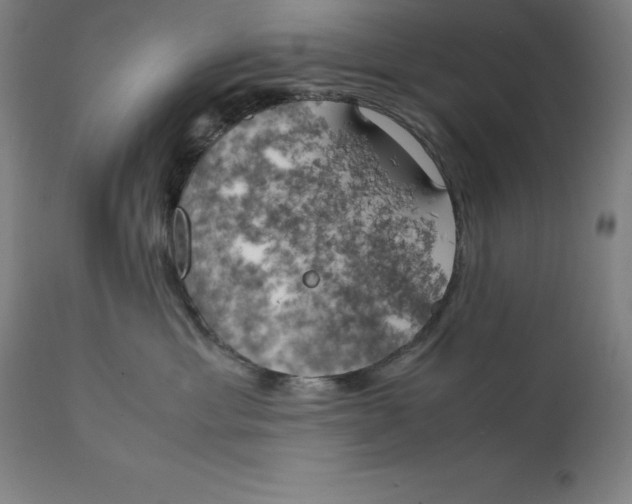 X0000111150429200907211207