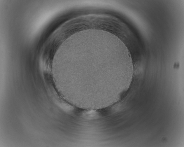 X0000111150431200907211207