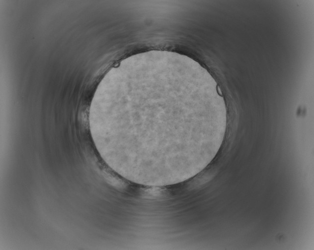 X0000111150432200907211207