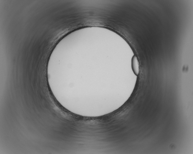 X0000111150433200907211207