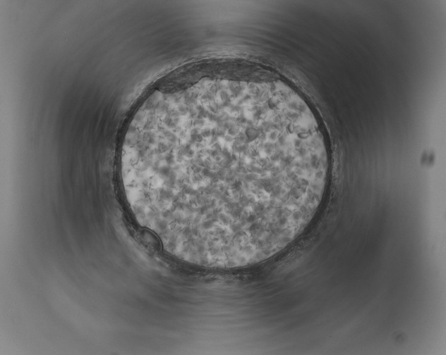 X0000111150434200907211207