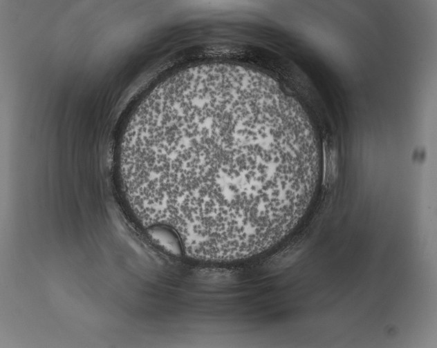 X0000111150435200907211207