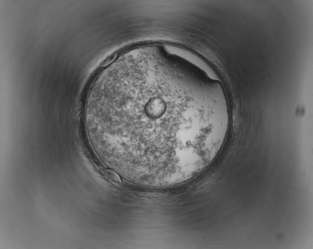 X0000111150436200907211207