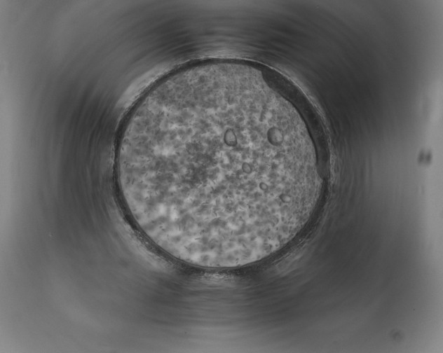 X0000111150437200907211207