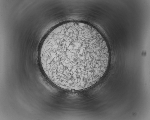 X0000111150439200907211207