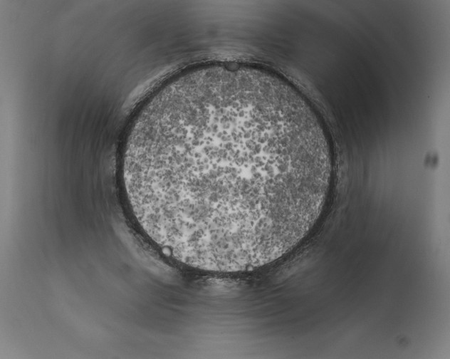 X0000111150442200907211207