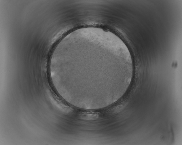 X0000111150443200907211207