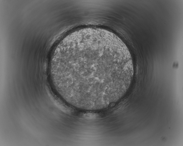 X0000111150444200907211207