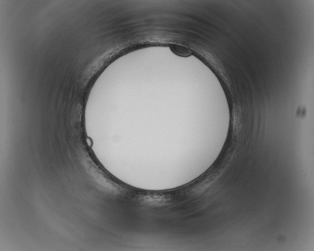 X0000111150445200907211207