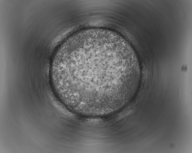 X0000111150446200907211207