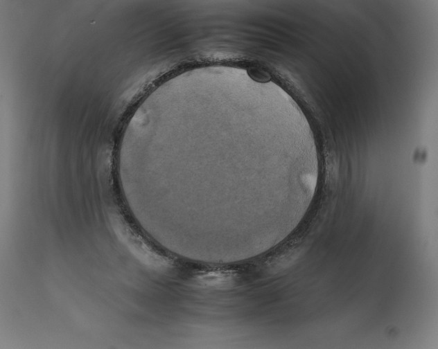 X0000111150447200907211207