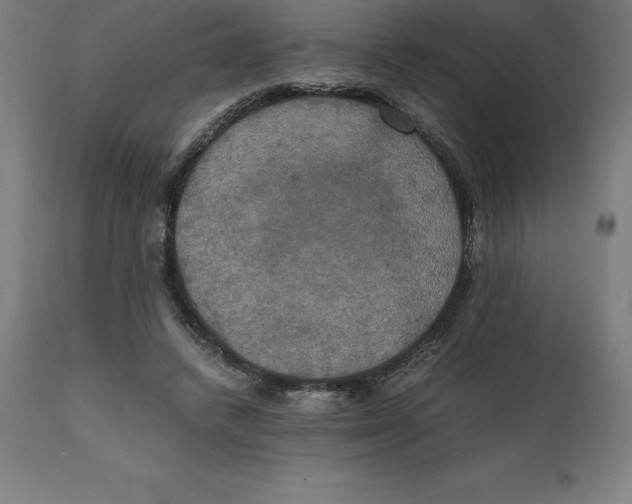 X0000111150448200907211207