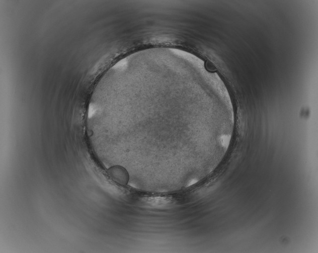 X0000111150449200907211207