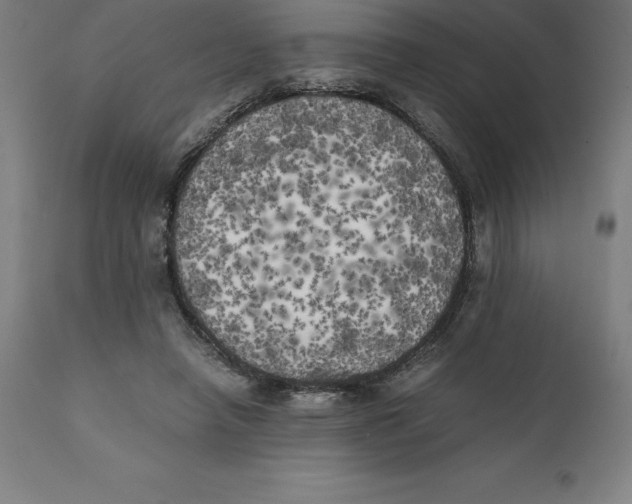 X0000111150450200907211207