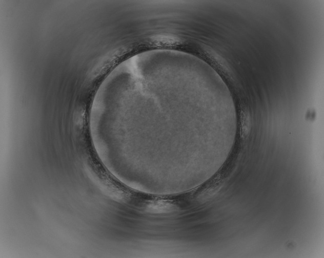 X0000111150451200907211207