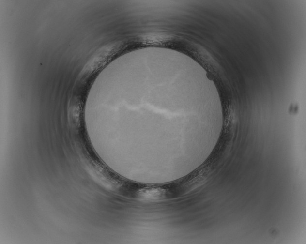 X0000111150452200907211207