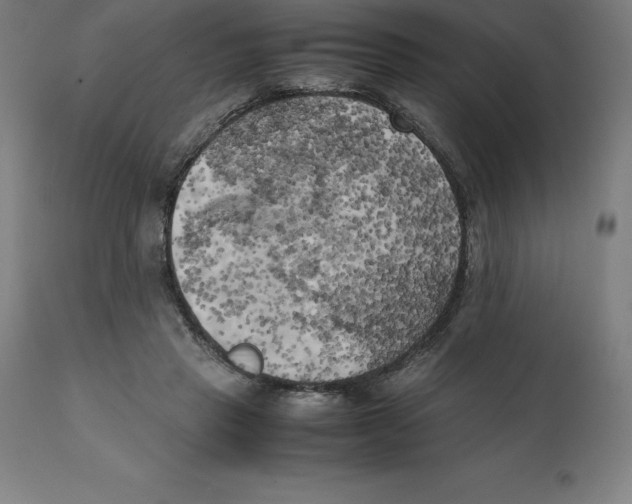 X0000111150453200907211207