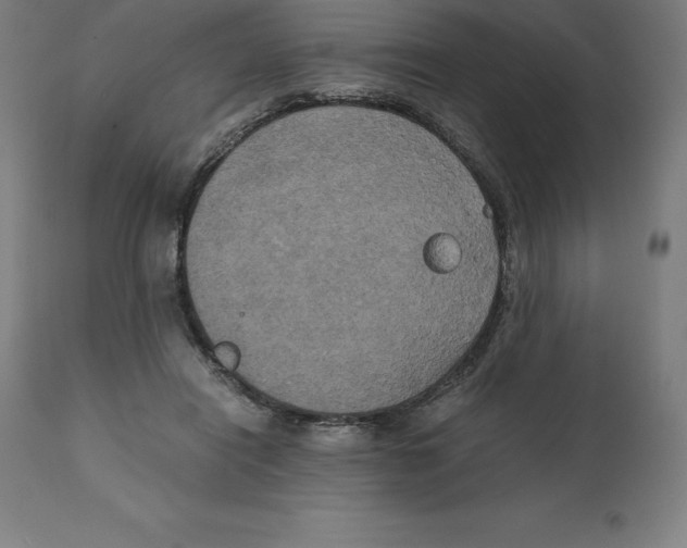 X0000111150454200907211207