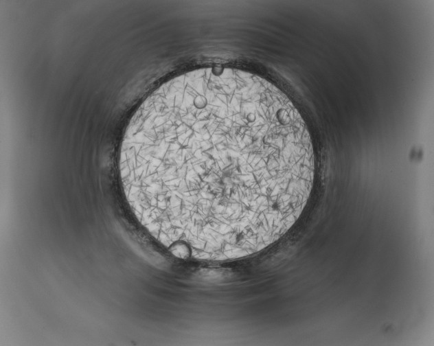 X0000111150455200907211207