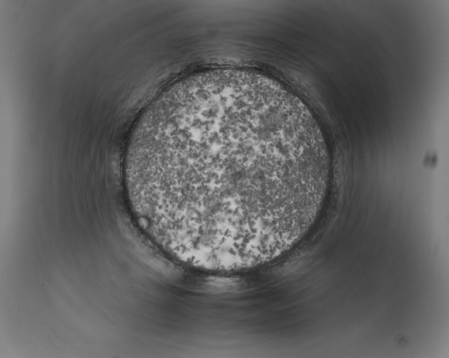 X0000111150457200907211207