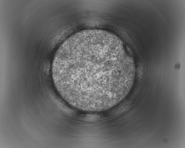 X0000111150458200907211207