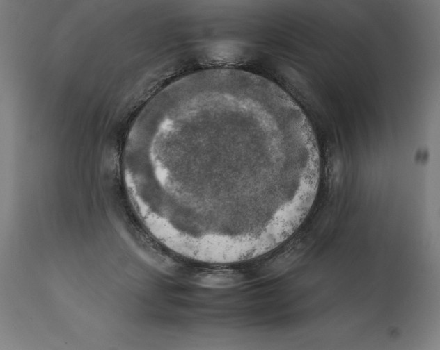 X0000111150459200907211207