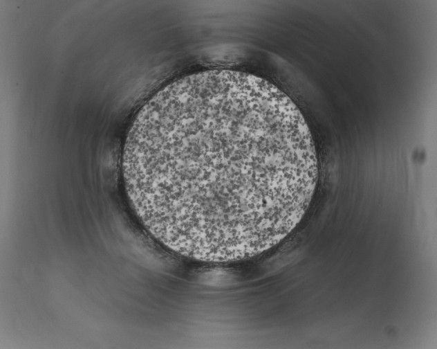 X0000111150460200907211207