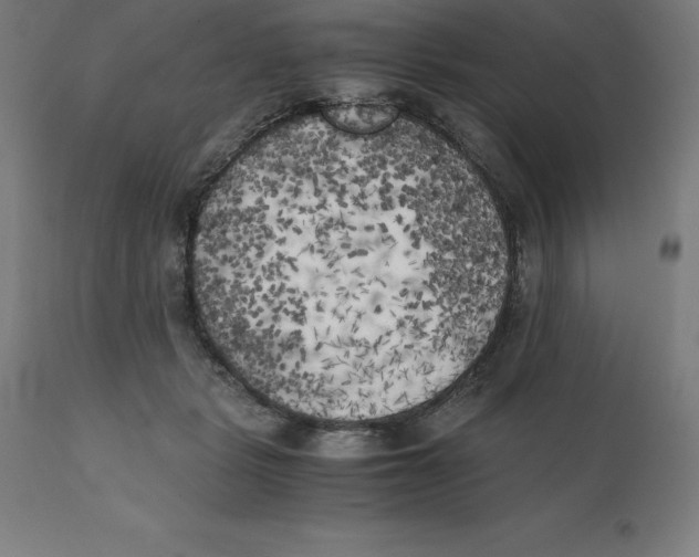 X0000111150461200907211207