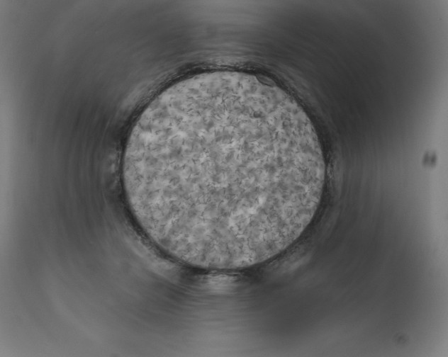 X0000111150462200907211207