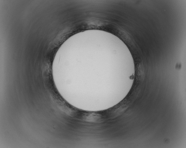 X0000111150463200907211207