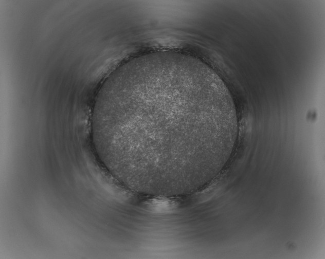 X0000111150464200907211207