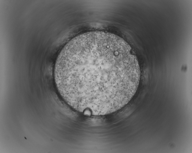 X0000111150466200907211207