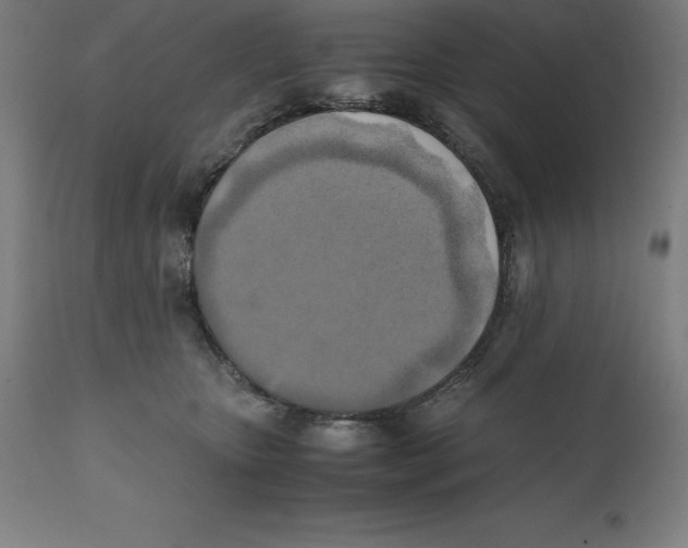 X0000111150467200907211207