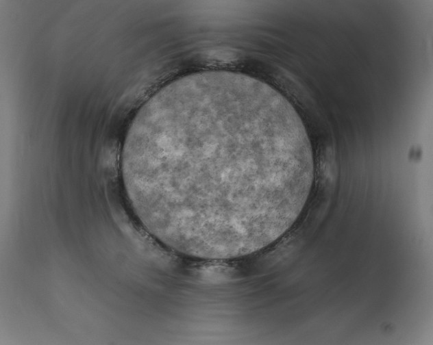 X0000111150468200907211207