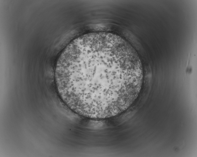 X0000111150469200907211207