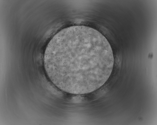 X0000111150470200907211207