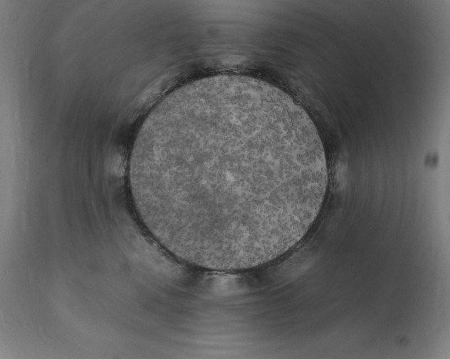 X0000111150472200907211207