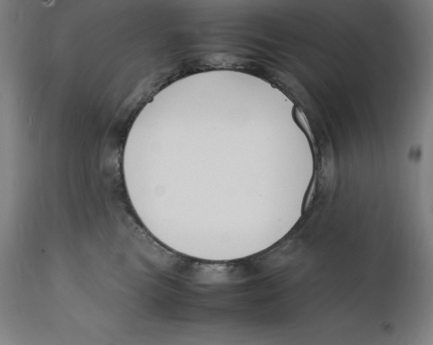 X0000111150473200907211207