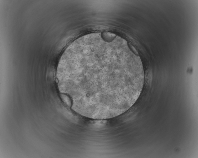 X0000111150474200907211207